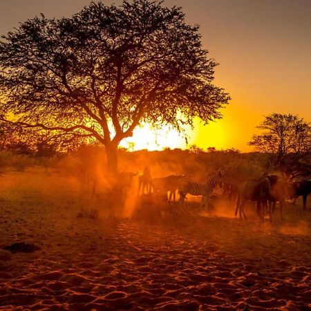 Bagatelle Kalahari Boutique Farmhouse Lodge Mariental Exteriér fotografie